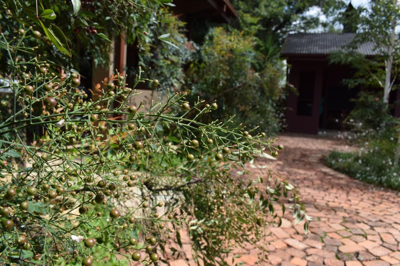 Greenleaf Guest Lodge 블룸폰테인 외부 사진